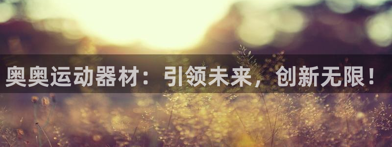 海南凯捷体育:奥奥运动器材:引领未来,创新无限!