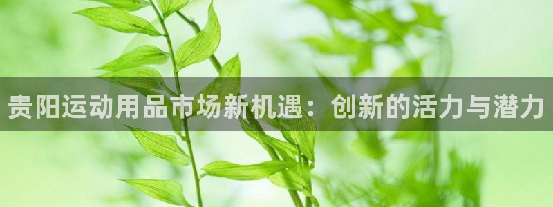凯捷体育招商电话号码是多少:贵阳运动用品市场新机遇:创新的活