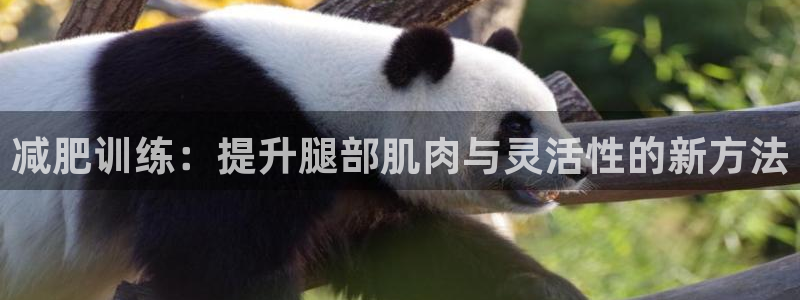 凯捷体育平台注册:减肥训练:提升腿部肌肉与灵活性的新方法