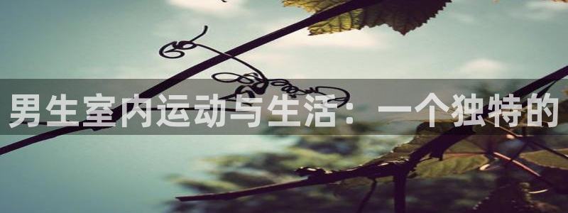 凯捷体育招商电话号码是多少啊:男生室内运动与生活:一个独特的