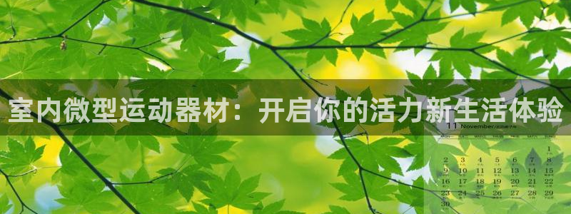 注册凯捷体育:室内微型运动器材:开启你的活力新生活体验