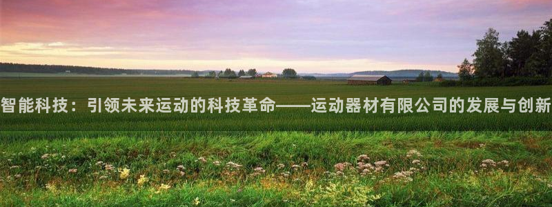 凯捷体育平台假的吗是真的吗:智能科技:引领未来运动的科技革命
